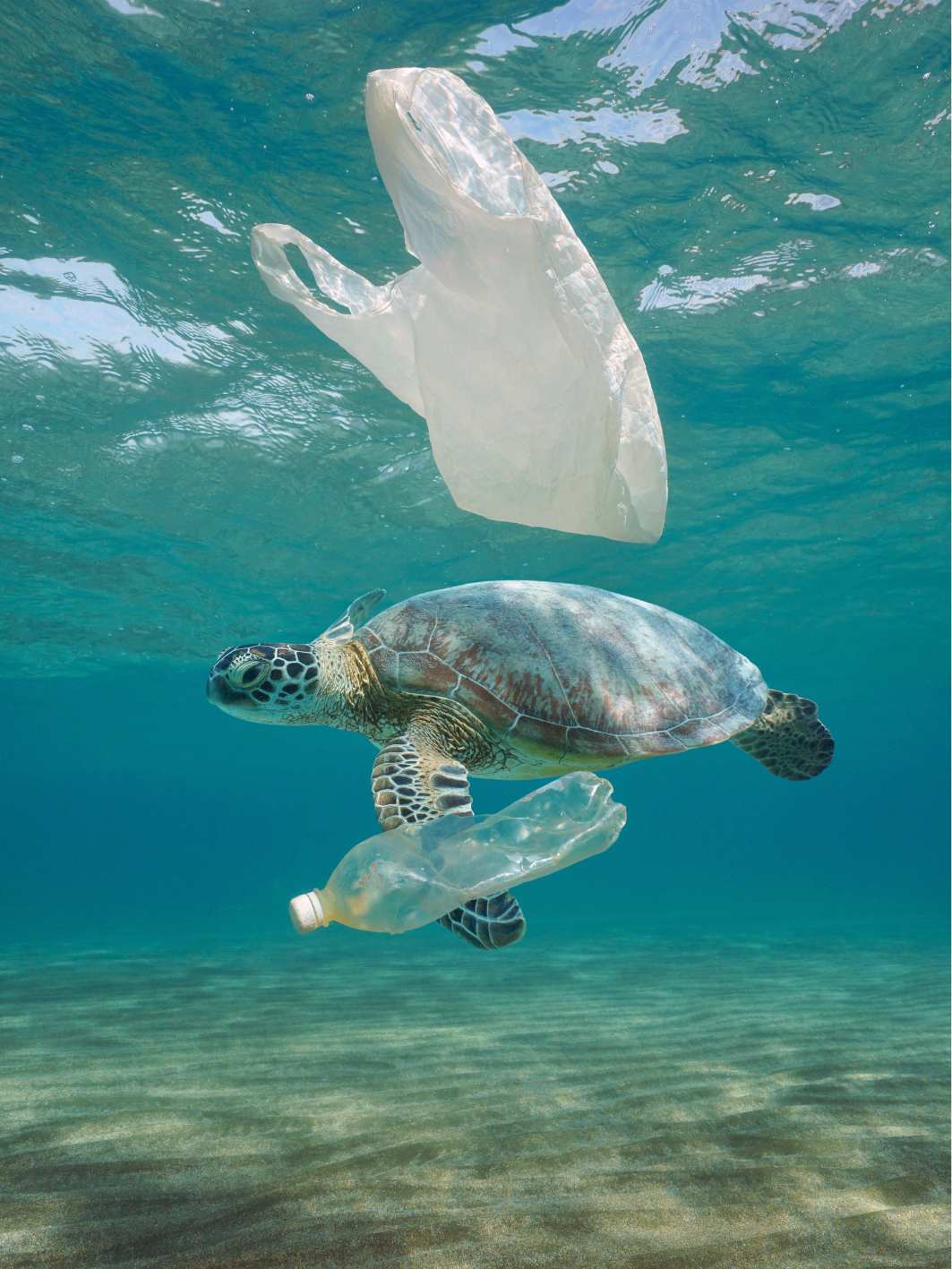 城市在《全球塑膠公約》中可以扮演什麼角色?