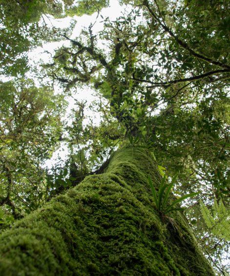 地方與次國家政府 後2020年資訊研討會