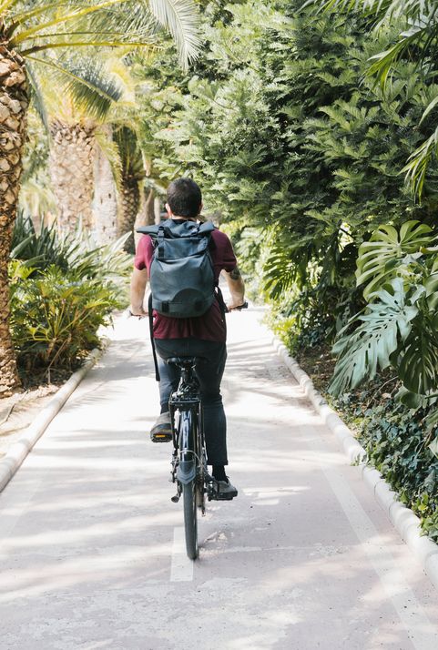 生態交通及生態物流